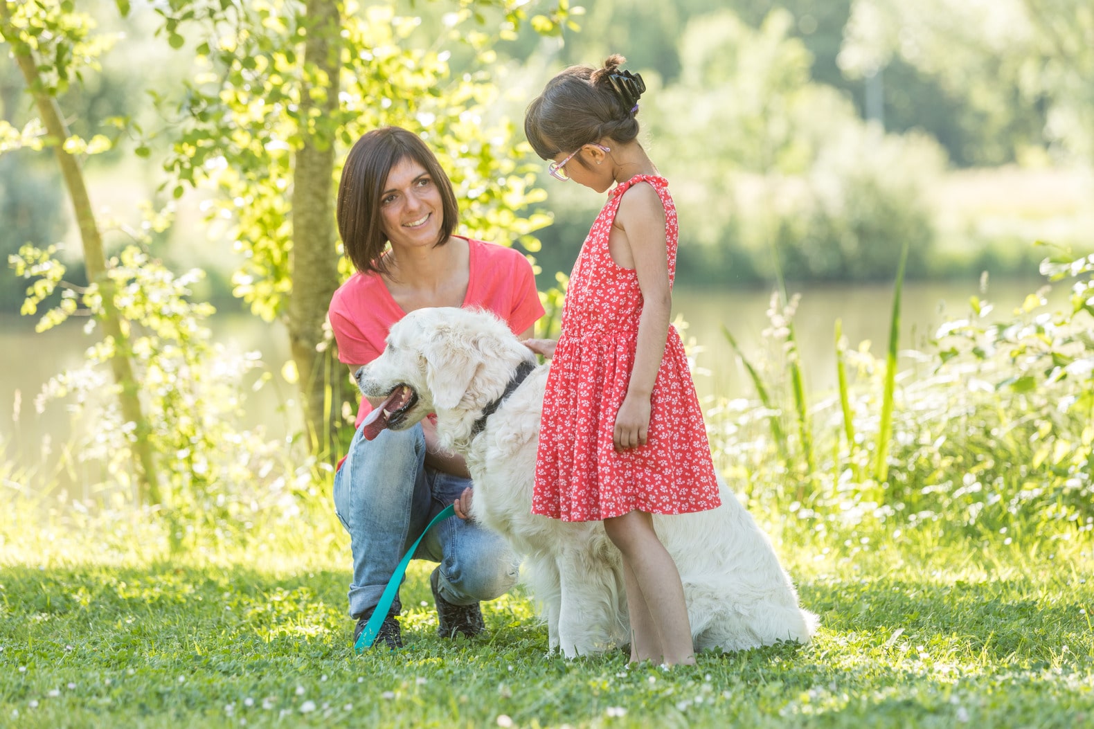 Atelier éducation canine enfants à nantes - Animagin'44