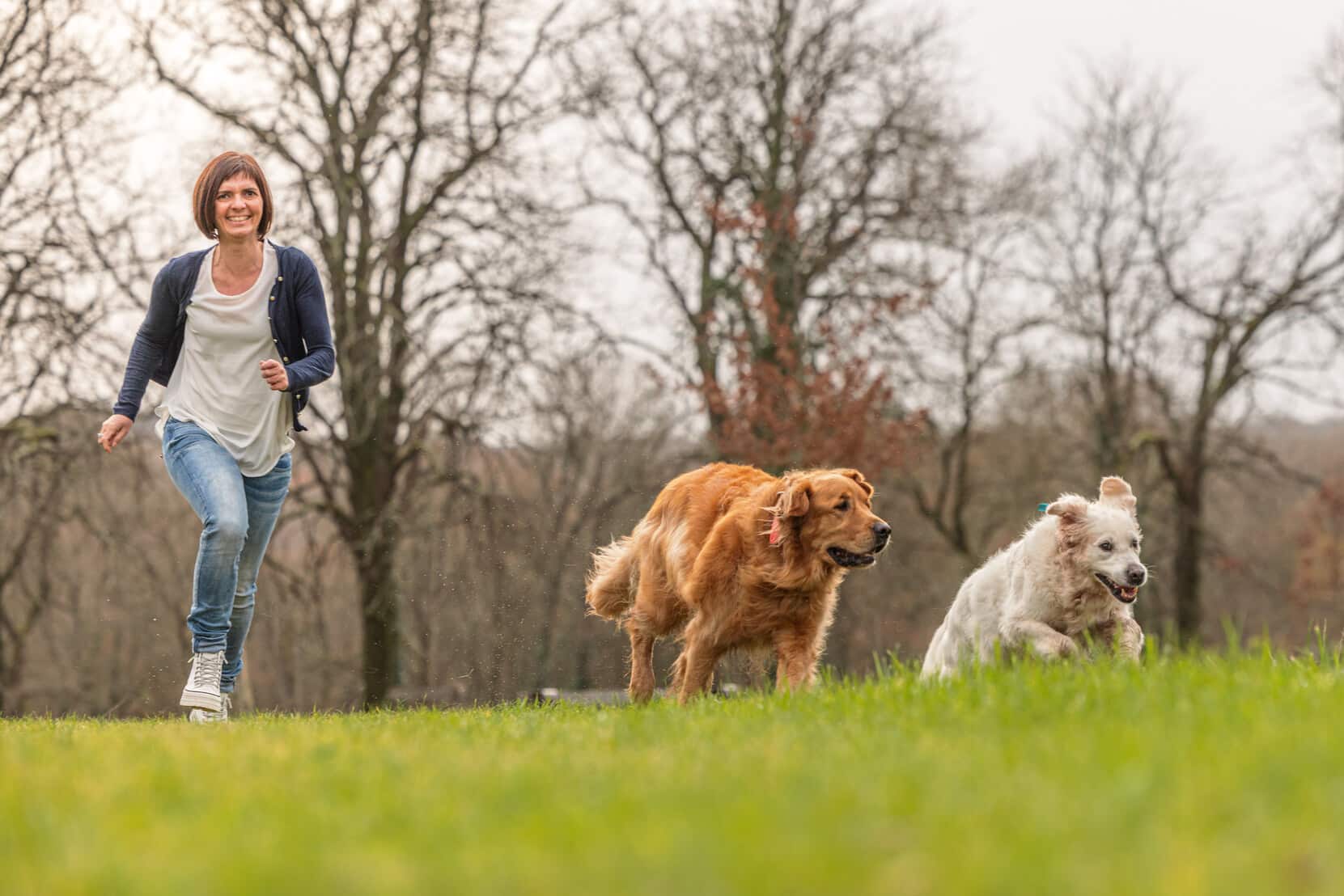 Education canine à nantes - Animagin'44